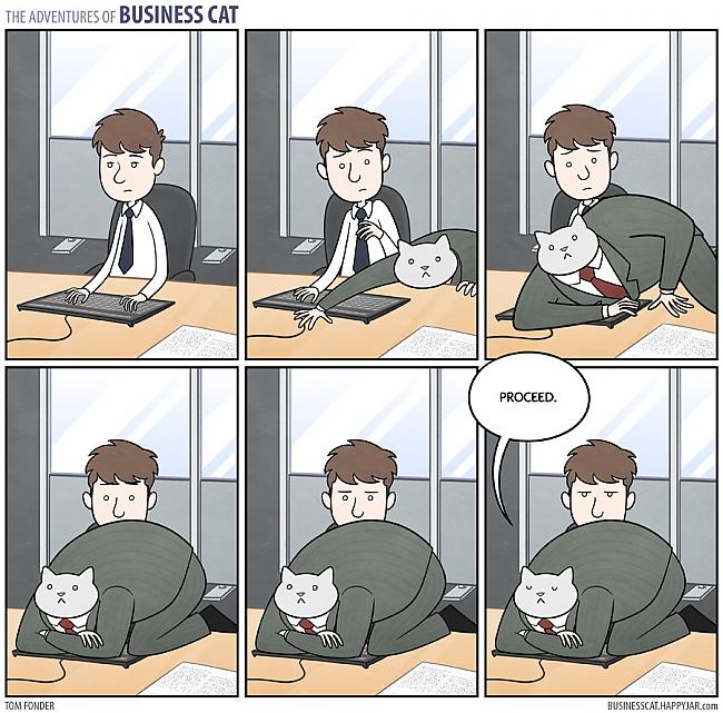  Autors: labaiscilveks the adventures of business cat