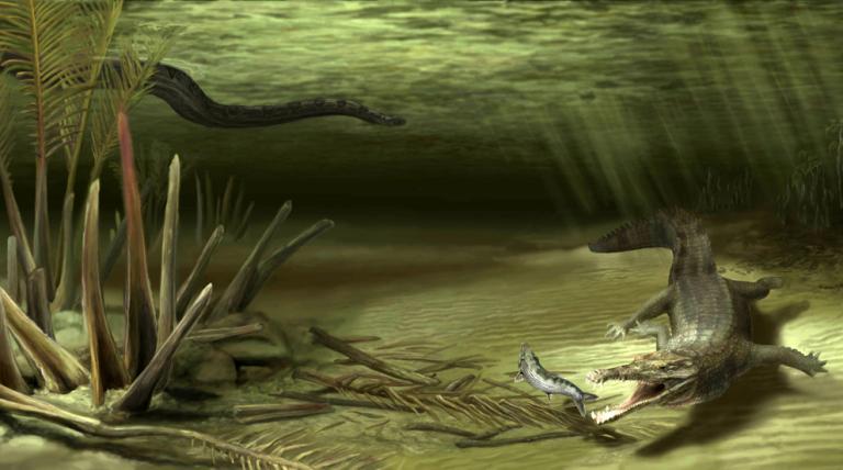 Čūskas fosilijas atrada... Autors: Pūcīte10 Titāna boa : Monstrčūska