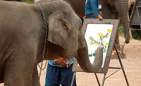 Ir sīki izpētītas ziloņu... Autors: Lords Lanselots Tev tas jāredz!! Zilonis uzzīmē ziloni!!!