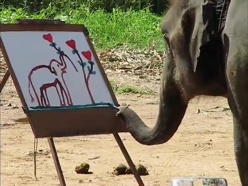  Autors: Lords Lanselots Tev tas jāredz!! Zilonis uzzīmē ziloni!!!