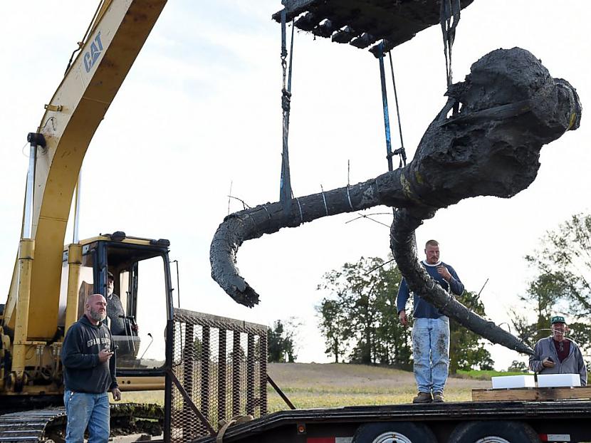 Divdesmit procenti no mamuta... Autors: Kapteinis Cerība Mičiganā kāds fermeris atrod reta hibrīdmamuta kaulus