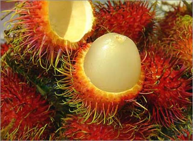 Rambutāns Cēlies no Malaizijas... Autors: Fosilija Eksotiskie augļi