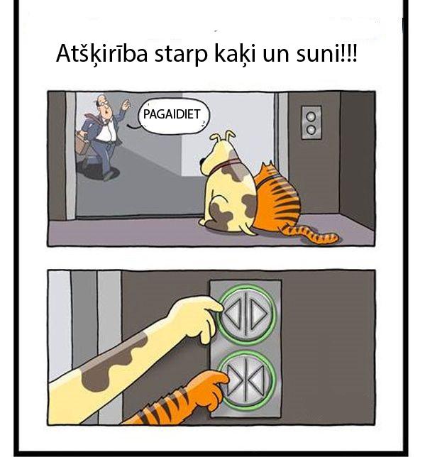  Autors: Fallang Komiksi *3