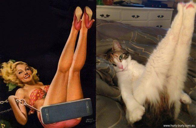  Autors: rihcaa Sievietes  & Kaķi !!!