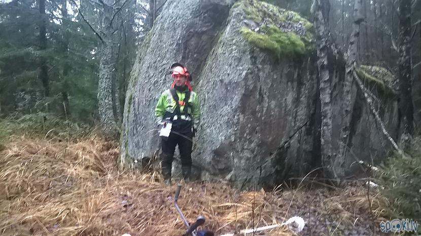 Tādi akmentiņi ir gandrīz uz... Autors: kapuracējs Meža veči Zviedrijā,jeb,mans skatījums uz Zviedriju.