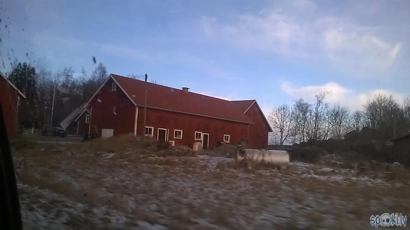 Tā pati dienatikai 70 km no... Autors: kapuracējs Meža veči Zviedrijā,jeb,mans skatījums uz Zviedriju.