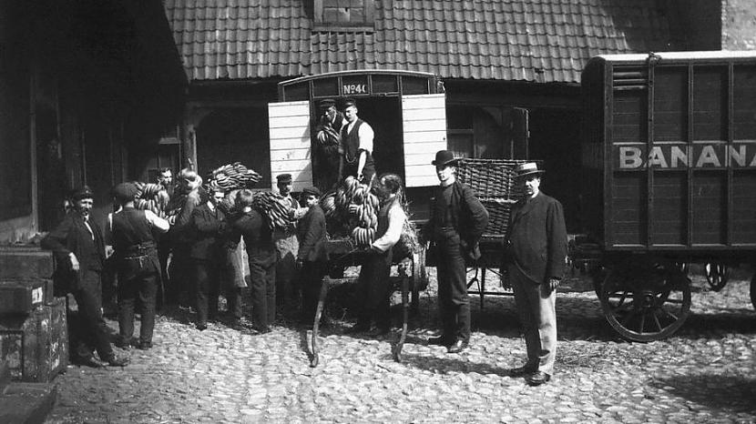 Norvēģi pirmo reizi importē... Autors: Fosilija 20. gadsimta 20 spēcīgākās fotogrāfijas