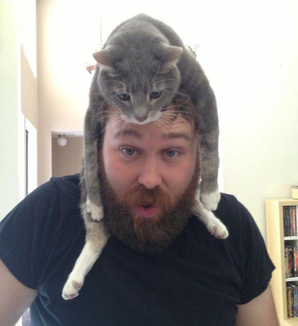  Autors: Fosilija Jauns stulbings - kaķis kā cepure.