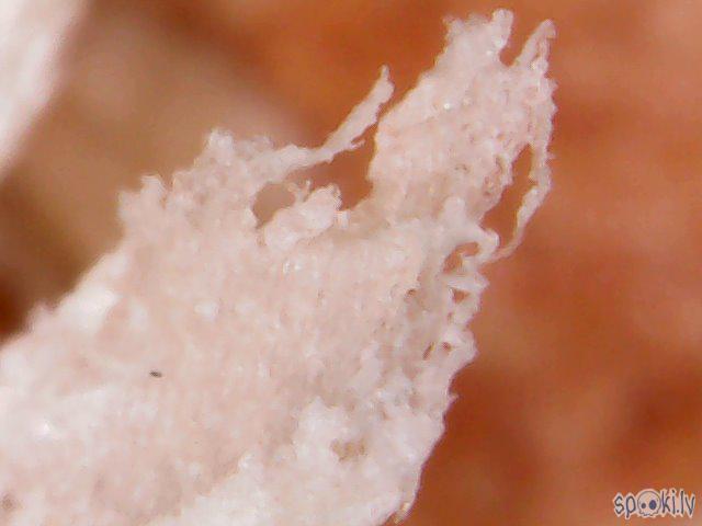 Briketes skaida Autors: Fosilija Nopirku eBay'ā mikroskopu!
