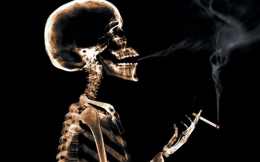 Autors: Fosilija Smēķēšanas atmešana: pārmaiņas organismā pēc 20 minūtēm, 8 stundām un 1 gada