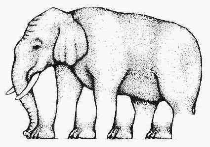 Cik daudz kāju ir šim zilonim... Autors: Geimeris Optiskās ilūzijas.