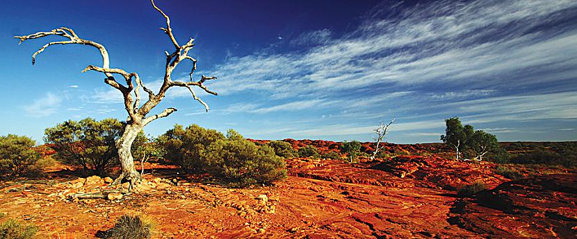 Austrālijas mežonīgā... Autors: Testu vecis Bīstamākās vietas pasaulē, kur dzīvot