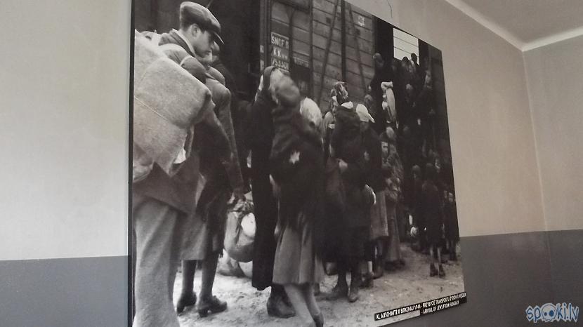1942 gada martā sākās 11 milj... Autors: Fosilija Es tur biju, es to redzēju - Aušvices koncentrācijas nometne Birkenau #1
