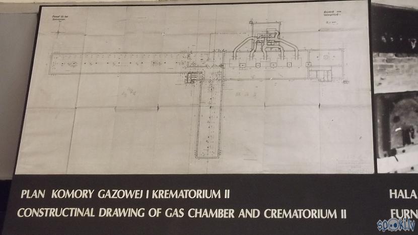 Gāzes kambara plāns Autors: Fosilija Es tur biju, es to redzēju - Aušvices koncentrācijas nometne Birkenau #1