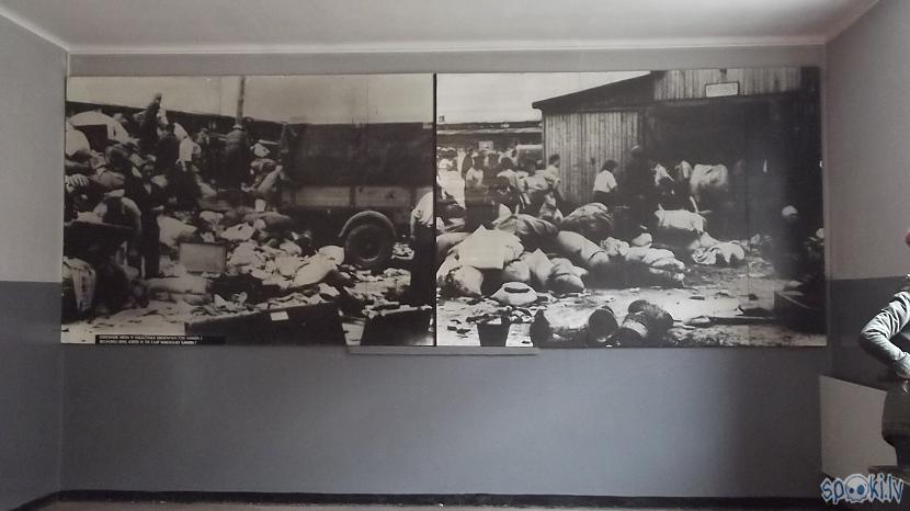  Autors: Fosilija Es tur biju, es to redzēju - Aušvices koncentrācijas nometne Birkenau #1