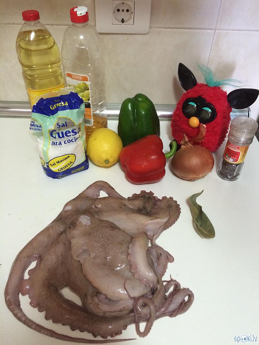 Ko mums vajag Man ir... Autors: PrincesaChicle Astoņkāja salāti.