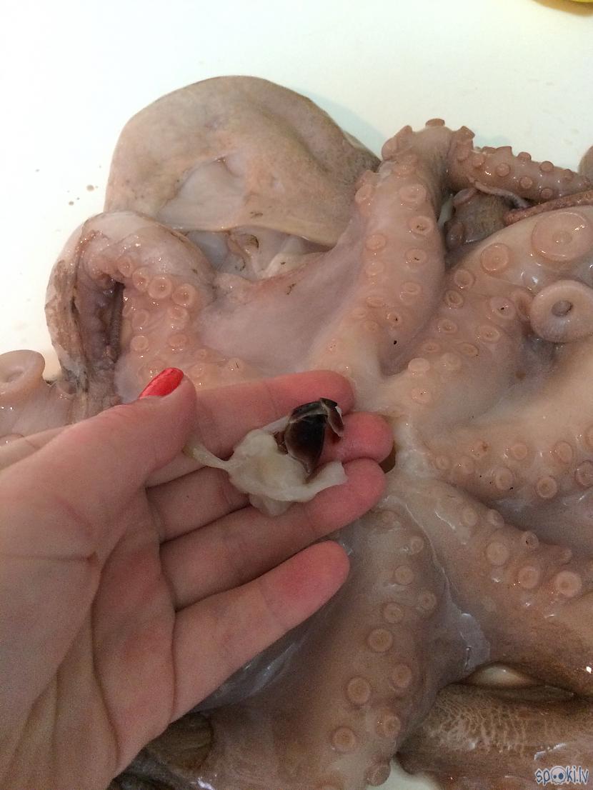 Ar nazi izrubinam dibenu... Autors: PrincesaChicle Astoņkāja salāti.