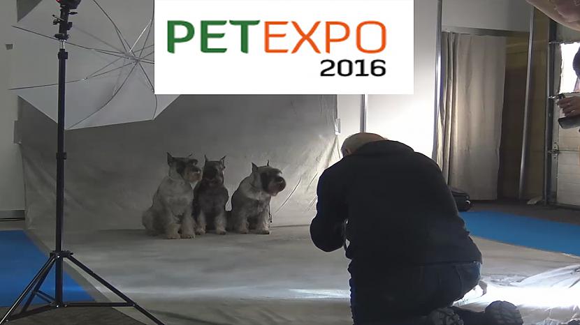  Autors: Fosilija Izstāde PetExpo 2016