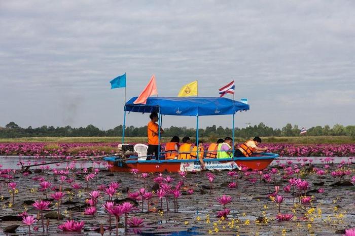 Tuuristi veero neaprakstaami... Autors: ezkins Unikāls ezers, nosēts ar spilgti rozā lotosiem