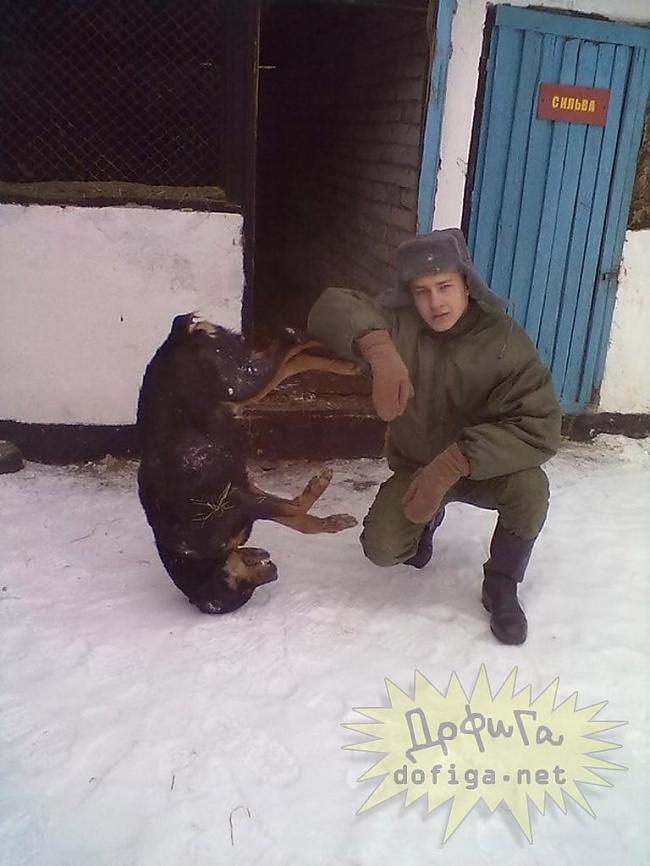 Suņu treniņš Krievi ir... Autors: twist Krievija negrib, lai tu redzētu šīs bildes!