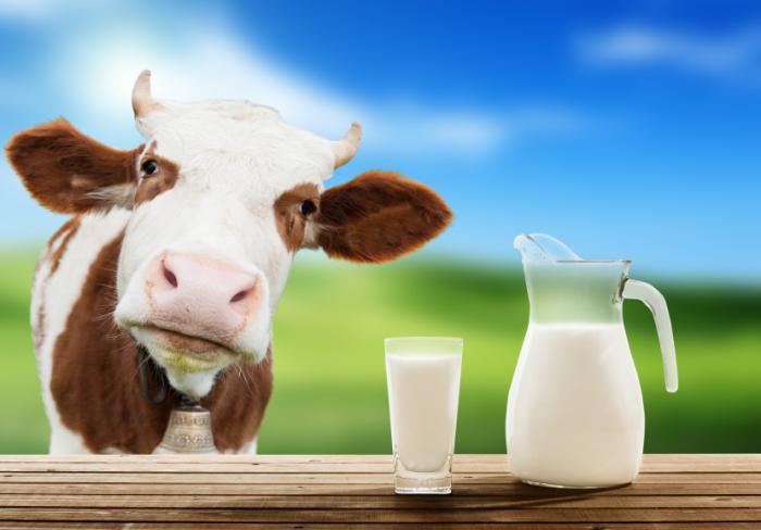 5 PiensBet ar pienu ir... Autors: Lords Lanselots Šos produktus nekādā gadījumā nedrīkst ēst uz nakti!!! 2. daļa