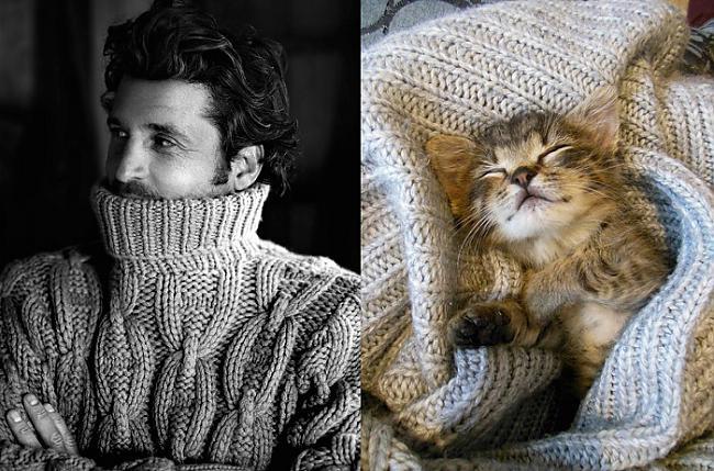 Vislabākais draugs ir kaķisTas... Autors: Fosilija Vīrieši vs kaķi! Kas tev labāk?