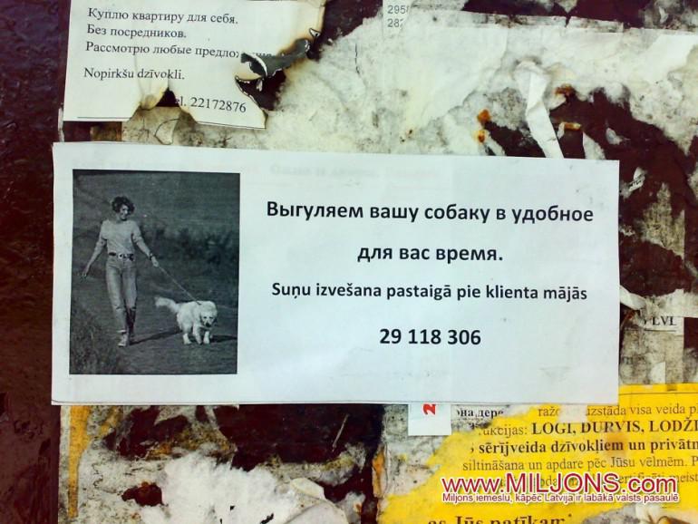 Es izvedīscaronu jūsu suni... Autors: slepkavnieciskais 30 jautras kļūdiņas latviešu valodā. Vienkārši smieklīgi!