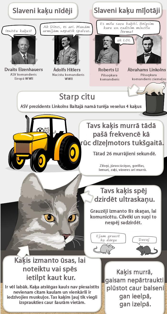  Autors: kaķūns 17 lietas, kuras vērts zināt par savu kaķi