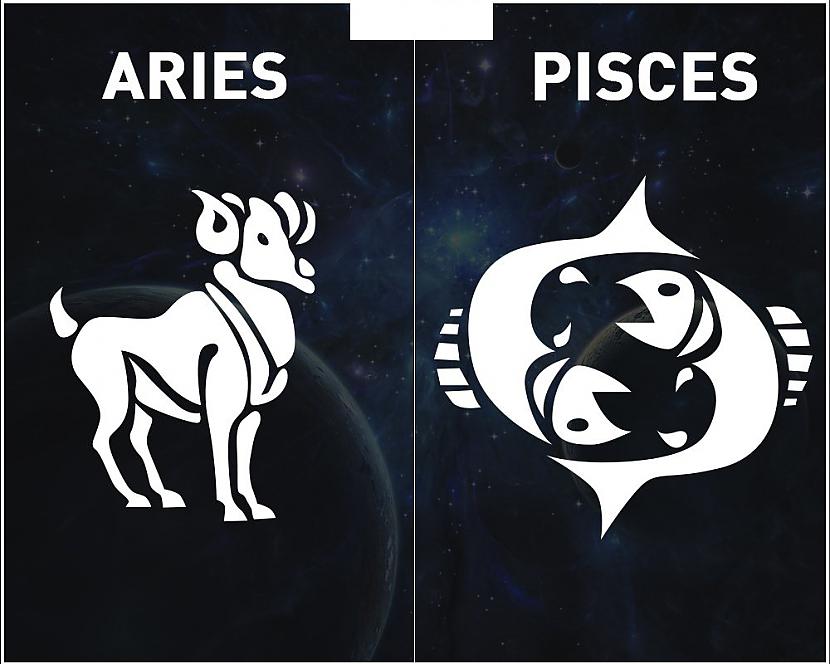 AUNS  ZIVSAunam un Zivij... Autors: kaķūns Zodiaka zīmes, no kurām veidojas perfekti pāri!
