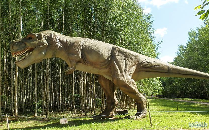 Milzis Tiranosaurus Rex... Autors: Huskijs3 Lietuva - Dino parkas!
