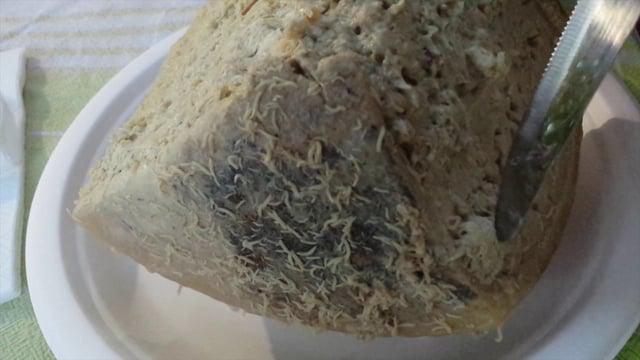 Tārpainias siers jeb Casu... Autors: misticismo Radības, kuras cilvēki ēd