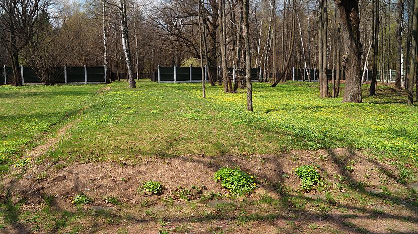 Patiesībā vairāki scaronie... Autors: Pēteris Vēciņš Vārti, aiz kuriem vaid zeme (Butovas un Komunarkas nāves poligoni)