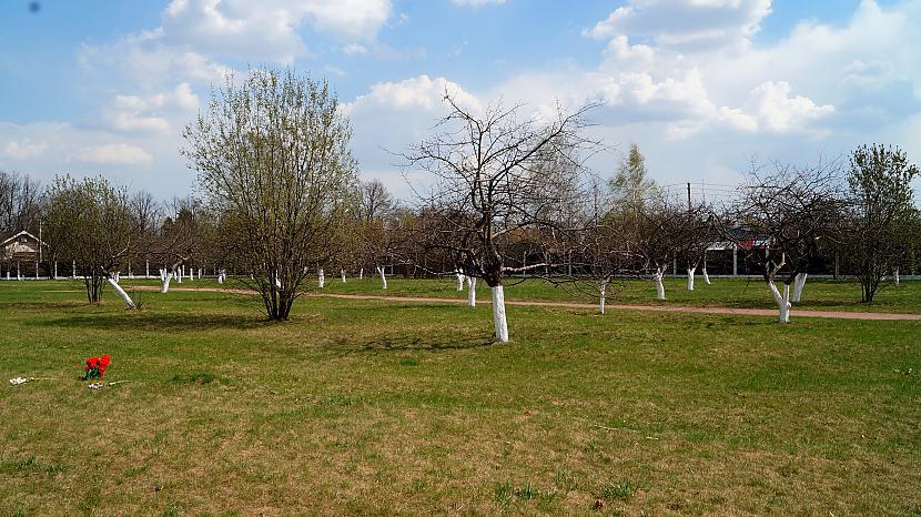 Vietām poligonanbsp teritorijā... Autors: Pēteris Vēciņš Vārti, aiz kuriem vaid zeme (Butovas un Komunarkas nāves poligoni)