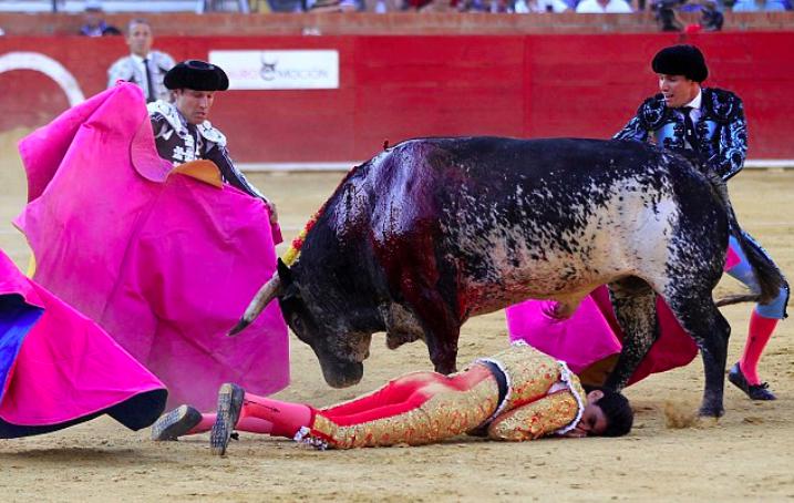 Viktora kolēģi centās novērst... Autors: KALENS Spāņu labākais matadors pūļa priekšā tiek sakropļots līdz nāvei