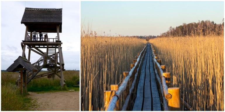 Kaņiera ezera putnu... Autors: wecazivs 15 vietas, kas jāapciemo katram Latvijas iedzīvotājam