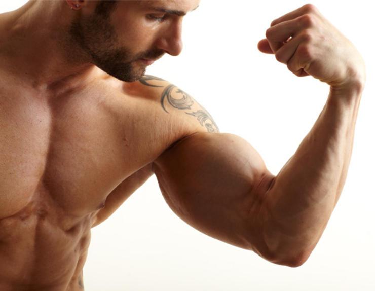 Cilvēka muskuļiem ir daudz... Autors: Geimeris Apbrīnojami fakti par TAVU ķermeni!