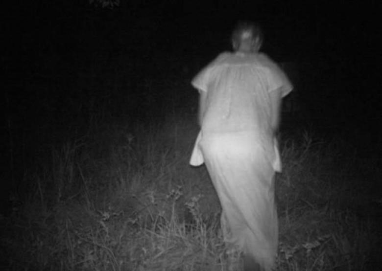 Scaronī neapscaronaubāmi ir... Autors: Testu vecis Baisākās mežā uzņemtās fotogrāfijas