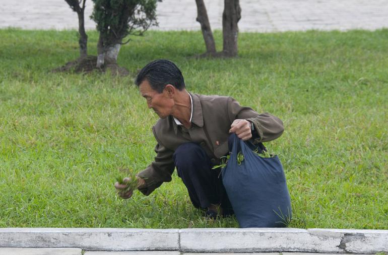 Dažviet bada līmenis ir tik... Autors: zeminem 28 bildes, kas nedrīkstēja nonākt ārpus Ziemeļkorejas.