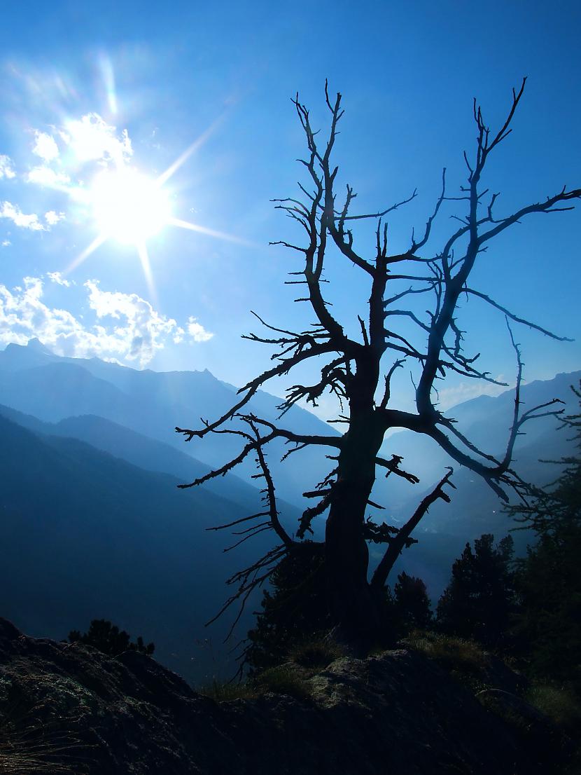 Alpi Autors: LordRudolf Manas ainavu fotogrāfijas