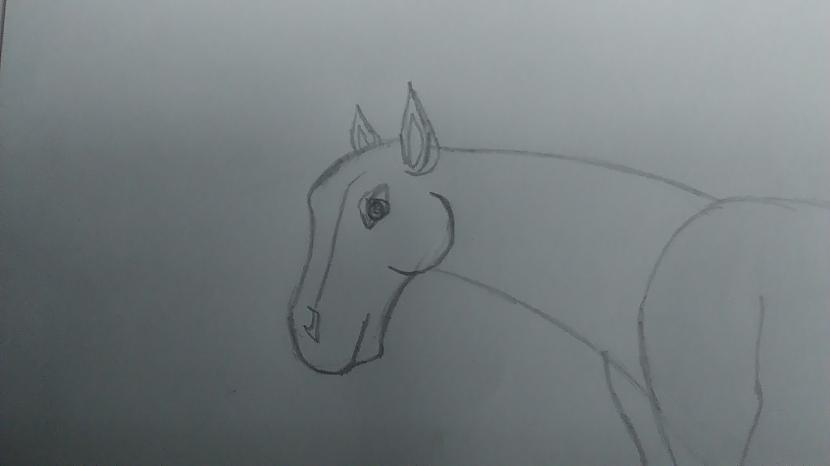 Tagad pabeidzam galvu zīmēt Autors: Baibiņa2002 Kā es zīmēju zirgu #1