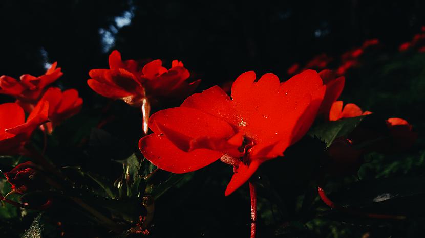 Tā pasauli redzu es! - Spoki