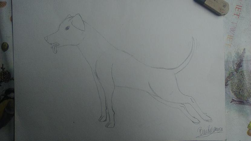 Un reku ir mūsu Suņuks Ar... Autors: Baibiņa2002 Kā es zīmēju suni #2