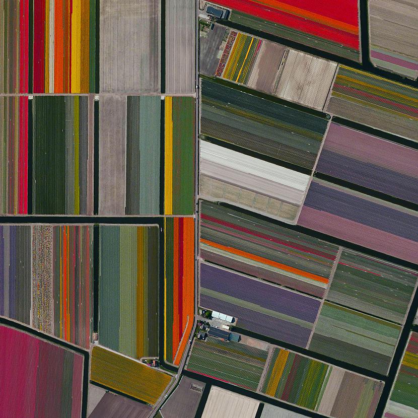 Tulip fields Lisse Netherlands Autors: Šamaniss Fantastiskas satelīta bildes