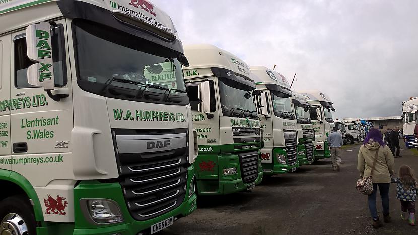 Daf CF  W A Humpries Autors: Keisss@speles All Wales Truck Show 2016