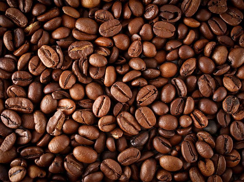 Titulbilde Autors: Fosilija 5 neticami fakti par kafiju