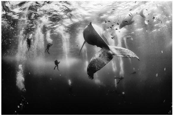 National Geographic gada... Autors: kaķūns 70+ interesanti foto ar aprakstiņiem #2