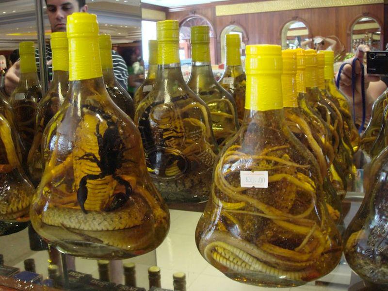 Vīns no čūskām un skorpioniem Autors: SandisLV Jocīgā šmiga no visas pasaules