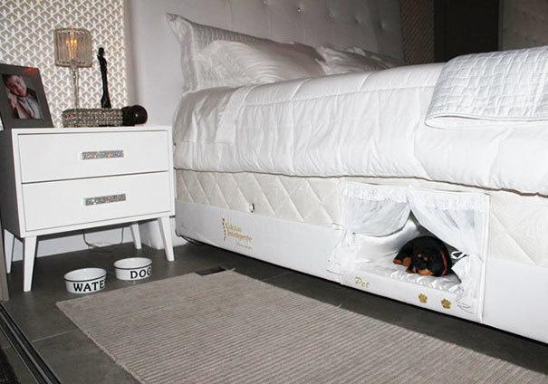 Vecais matracis ar derēs tavam... Autors: bananchik Uzlabo sava suņa dzīvi.