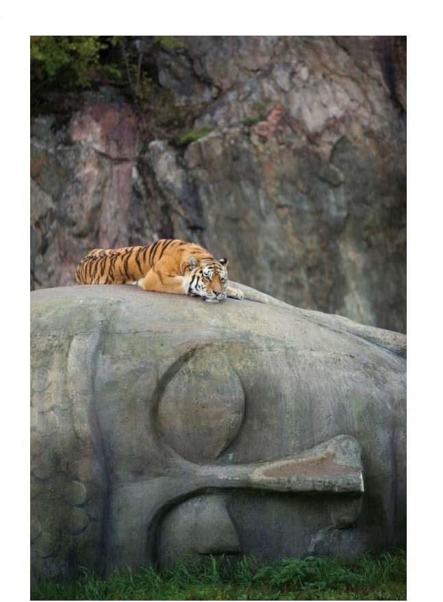 Atpūta uz Budas Autors: kaķūns 70 interesanti foto ar aprakstiņiem #6