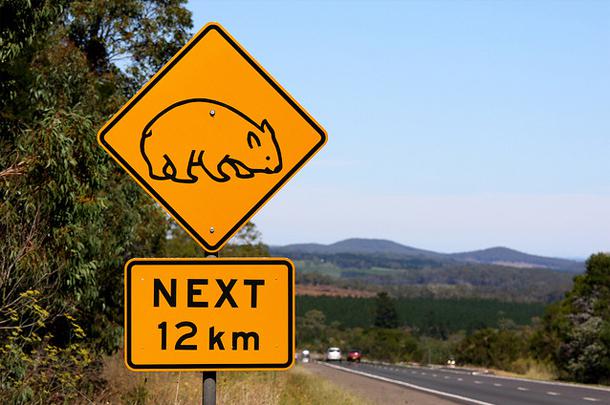 Uzmanieties no koalām... Autors: Ciema Sensejs Par kādiem dzīvniekiem brīdina pasaules ceļa zīmes?